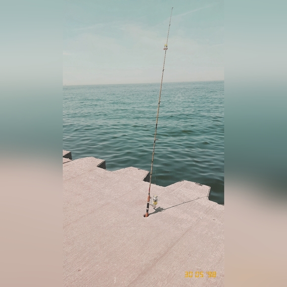 Meet your Posher, Trudy - Picture 7 of 9